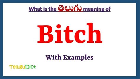 meaning of bitch in telugu